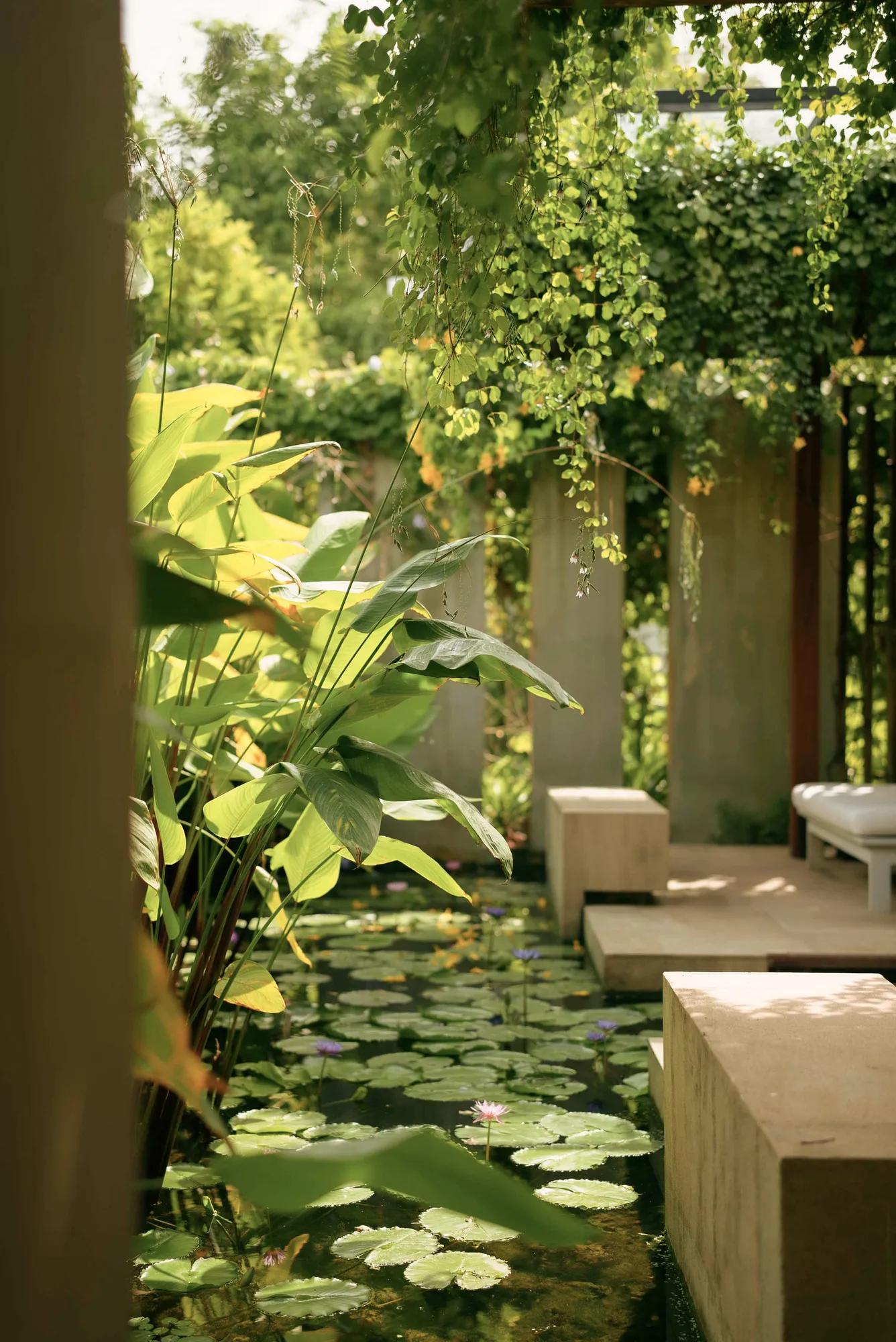 Tranquil pond with lily pads, tropical plants, and beige seating beside a water feature.